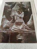 Kunstzinnige foto met vrouw en neushoorn, Ophalen