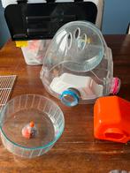 zeer veel buizen en toebehoren voor een hamsterkooi en eten, Gebruikt, Minder dan 75 cm, Reiskooi of Transportbox, Hamster