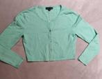 Smashed Lemon Groen Vestje – Maat M, Mintgroen, Heel Goed, Kleding | Dames, Truien en Vesten, Ophalen of Verzenden, Groen