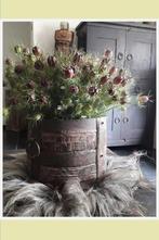 NIEUW Blanco FOTOKAARTEN verschillende soorten, Ophalen of Verzenden, Nieuw