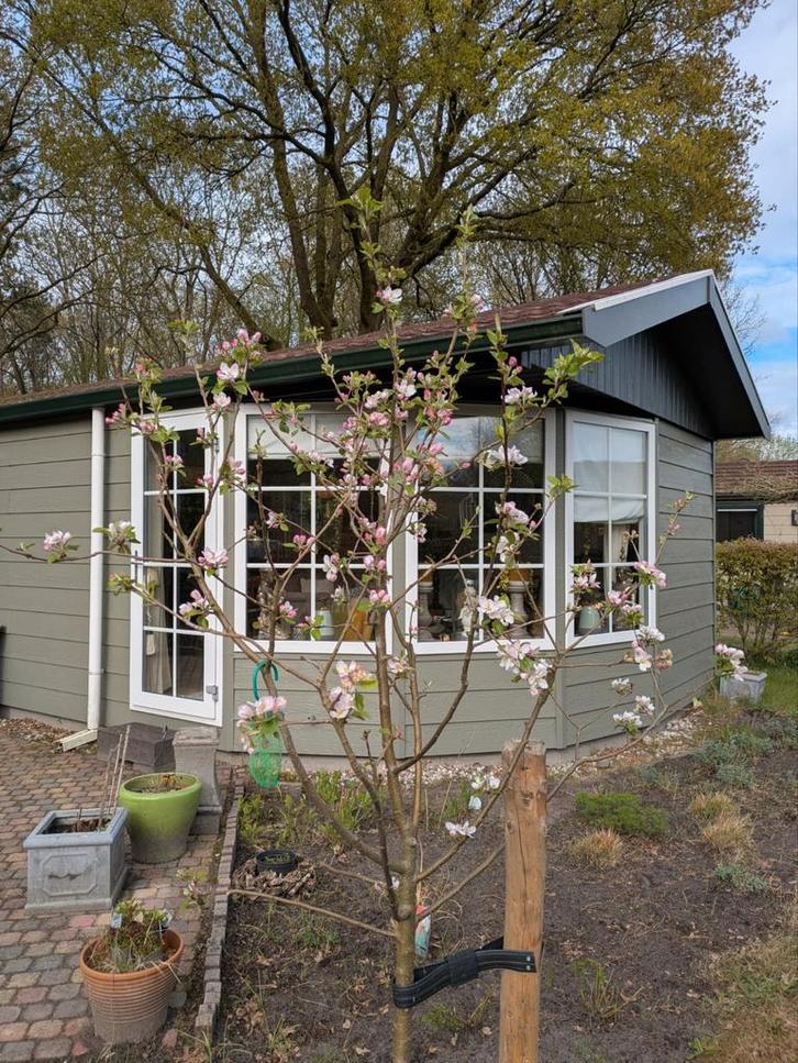 Chalet te koop op eigen grond, Huizen en Kamers, Recreatiewoningen te koop, Drenthe, Chalet, Verkoop zonder makelaar, C