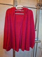 Dames vest met capuchon, Ophalen of Verzenden, Zo goed als nieuw, Maat 42/44 (L)