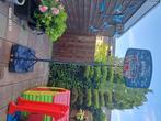 Basketbal, Sport en Fitness, Basketbal, Ophalen, Zo goed als nieuw, Bal