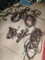 Onwijs gaaf bruin tweespantuig Shet, Ophalen of Verzenden, Overige soorten