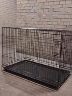 Te koop,Hond bench., Dieren en Toebehoren, Ophalen