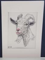 Vooruit met de geit, Ophalen of Verzenden