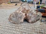 Eiken boomstam, Tuin en Terras, Haardhout, Ophalen