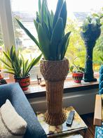 Vintage Plantenstandaard / Plantenmand, Ophalen of Verzenden