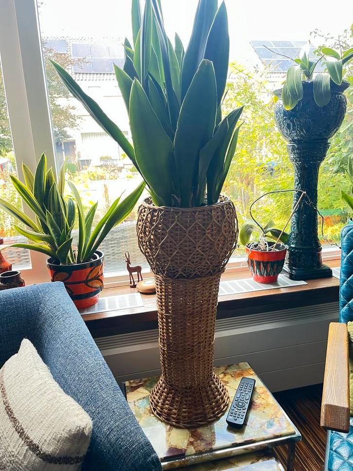 Vintage Plantenstandaard / Plantenmand, Verzamelen, Retro, Ophalen of Verzenden