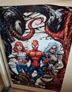 Spiserman poster, Ophalen of Verzenden, Zo goed als nieuw, A1 t/m A3