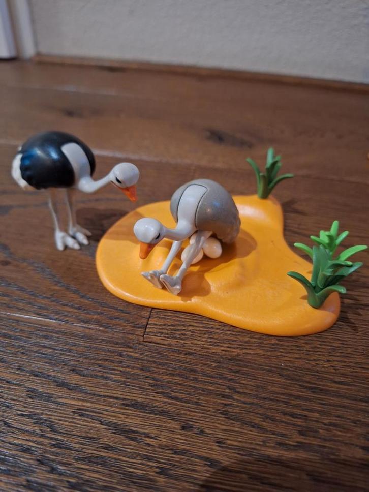 Playmobil Struisvogels met Nest - Safari Set 4831, Kinderen en Baby's, Speelgoed | Playmobil, Gebruikt, Los playmobil, Ophalen of Verzenden