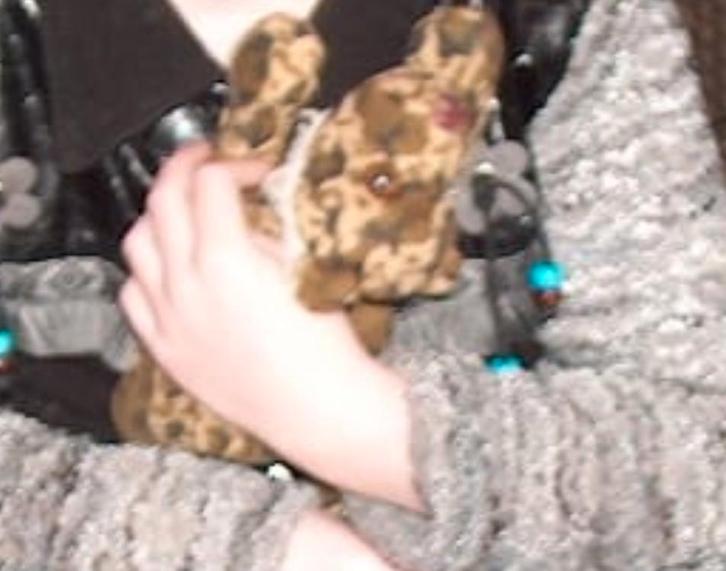 GEZOCHT! Help alsjeblieft!, Kinderen en Baby's, Speelgoed | Knuffels en Pluche, Overige typen, Ophalen of Verzenden