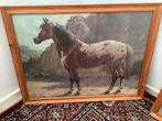 2 wandprenten met paarden, Dieren en Toebehoren, Ophalen, Gebruikt, Overige soorten