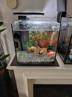 Aquarium 30 liter, Dieren en Toebehoren, Ophalen, Zo goed als nieuw, Leeg aquarium