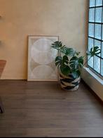 Laminaat vloer hout 9m2 klik donker bruin brown restpartij, Ophalen, Gebruikt, Bruin, Minder dan 10 m²