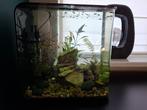 Biorb Led 30L zwart, Dieren en Toebehoren, Ophalen, Gebruikt, Filter of Co2