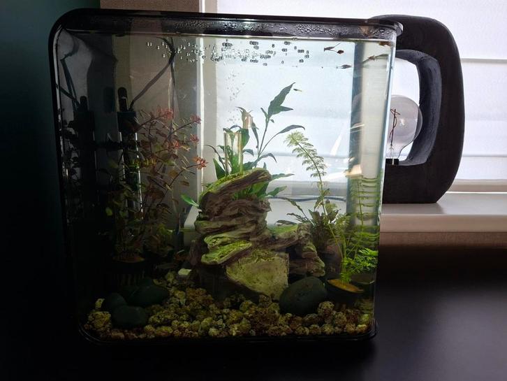 Biorb Led 30L zwart, Dieren en Toebehoren, Vissen | Aquaria en Toebehoren, Gebruikt, Filter of Co2, Ophalen