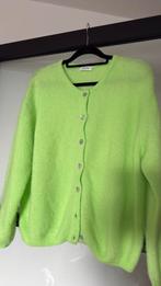 American Vintage vest maat L als nieuw!!, Ophalen of Verzenden, Zo goed als nieuw, Maat 38/40 (M)