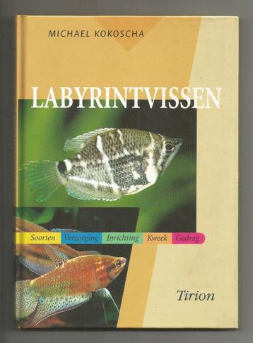 Labyrintvissen - Michael Kokoscha beschikbaar voor biedingen
