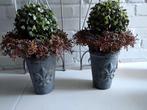 2 Gietijzeren bloempotten met franse lelie, Tuin en Terras, Bloempotten, Ophalen, Rond, Zo goed als nieuw, Minder dan 25 cm