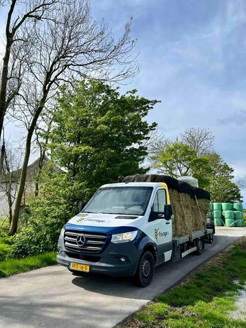 Hooi met analyse! In bundels van 12 beschikbaar voor biedingen