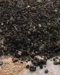 Paardenmest gratis ophalen, Tuin en Terras, Aarde en Mest, Mest, Ophalen