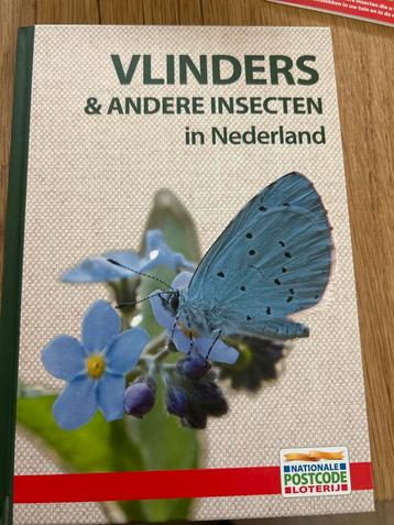Vlinders & Andere Insecten in Nederland beschikbaar voor biedingen
