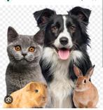 Dieren voedselbank zoekt hulp!, Vacatures