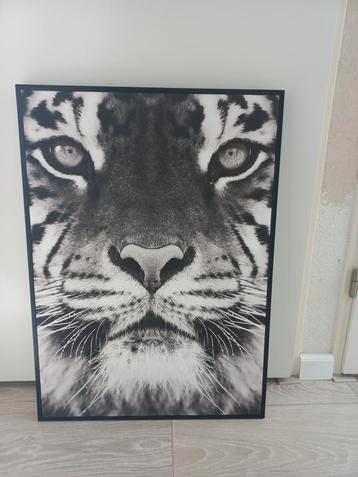 Zwartwit afbeelding van een tijger  beschikbaar voor biedingen