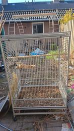 Te koop papegaaien kooi, Ophalen, Zo goed als nieuw, Metaal, Vogelkooi