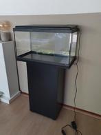 Aquarium met meubel zwart, Dieren en Toebehoren, Vissen | Aquaria en Toebehoren, Ophalen, Zo goed als nieuw, Leeg aquarium