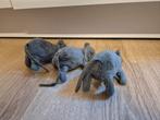 3x IKEA grijze muis gosig mus, Ophalen of Verzenden