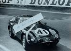 Originele foto Alfa Romeo Giulia TZ 1965 foto  Schlegelmilch, Ophalen of Verzenden, Zo goed als nieuw, Formule 1