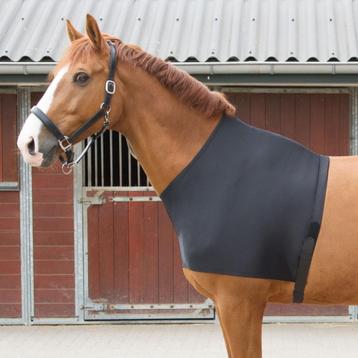 Harry's Horse Borstbeschermer, Schoftbeschermer S, M, L, XL beschikbaar voor biedingen