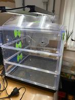 Propagator - Kweekkas voor zaailingen, Tuin en Terras, Ophalen, Gebruikt, Kweekkas, Glas