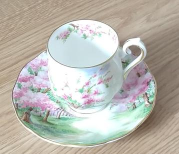 Royal Albert kop en schotel, volgnr 12 beschikbaar voor biedingen