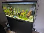Complete fluval 123, Fluval, Ophalen of Verzenden, Gevuld zoetwateraquarium, Zo goed als nieuw