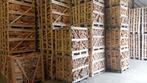 Super aanbieding haagbeuk eik of gewoon beuk, Minder dan 3 m³, Ophalen of Verzenden, Blokken