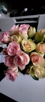 Huishoudelijke hulp aangeboden,  schoonmaak, Vanaf 10 jaar, Overige vormen