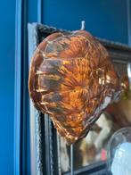 Schildpadschild, Ophalen of Verzenden