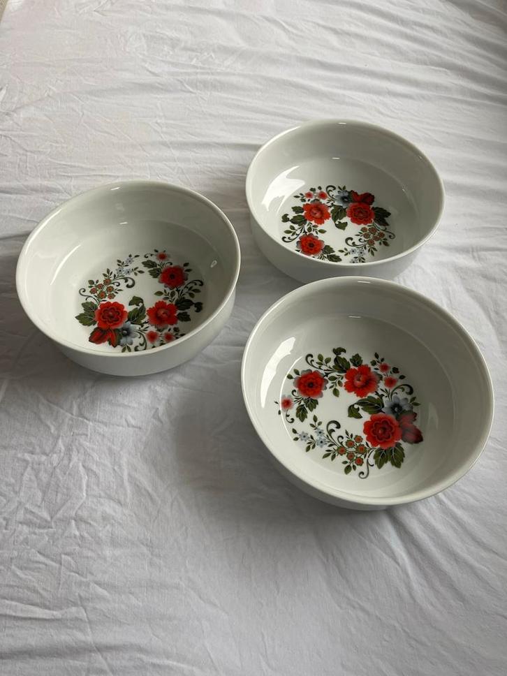 Royal Schwabap Servies Jaren '60/'70, Huis en Inrichting, Keuken | Servies, Gebruikt, Compleet servies, Overige stijlen, Aardewerk