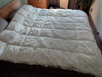 Polydaun 4 seizoenen dekbed 240x 220 beschikbaar voor biedingen