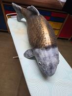 Karper, Ophalen of Verzenden