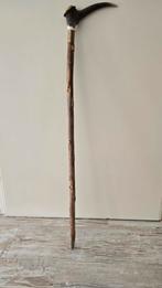 Wandelstok gewei jacht, Ophalen of Verzenden