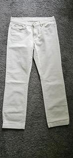 Lange broek dames Angels (Cici), Maat 38/40 (M), Beige, Ophalen of Verzenden, Angels
