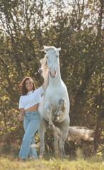 Stalwerk gezocht!, Dieren en Toebehoren, Paarden en Pony's | Overige Paardenspullen, Ophalen