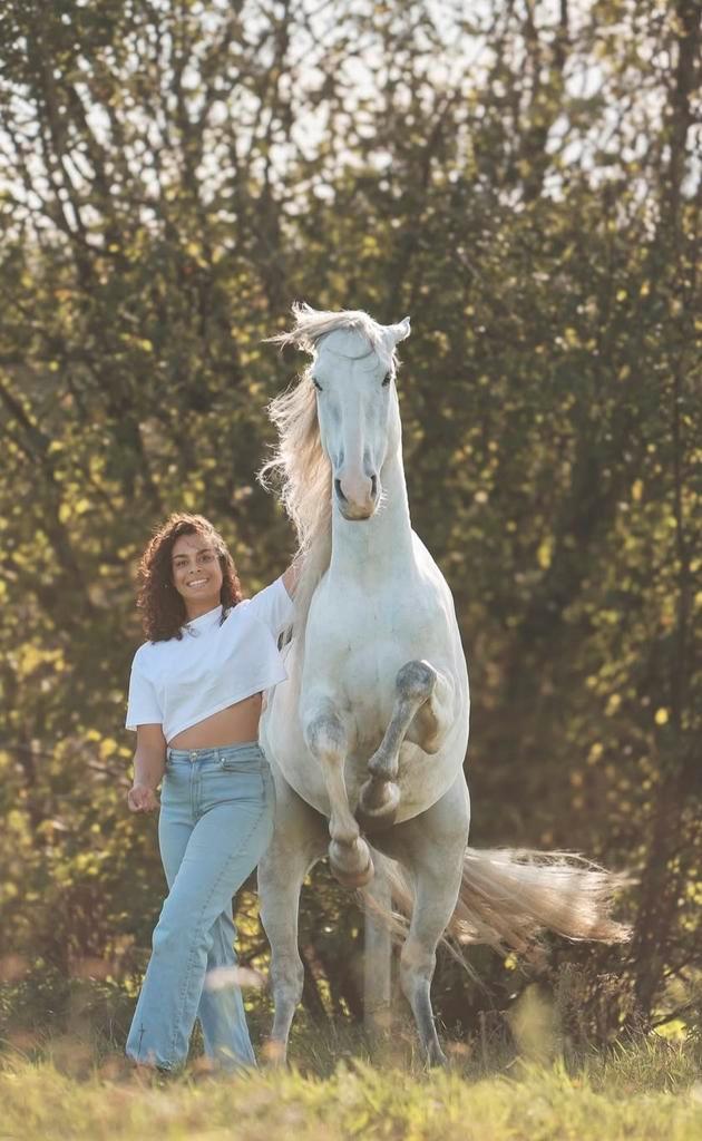 Stalwerk gezocht!, Dieren en Toebehoren, Paarden en Pony's | Overige Paardenspullen, Ophalen
