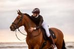Stalling gezocht omgeving Amersfoort, Dieren en Toebehoren, Stalling en Weidegang, Weidegang, 1 paard of pony