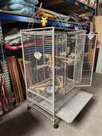 (*0040) Grote vogelkooi /papegaaienkooi met toebehoren, Dieren en Toebehoren, Vogels | Hokken en Kooien, Ophalen, Gebruikt, .