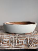 Bonsai pot 20x17x6, Tuin en Terras, Bloempotten, Gebruikt, ., Ophalen of Verzenden, .